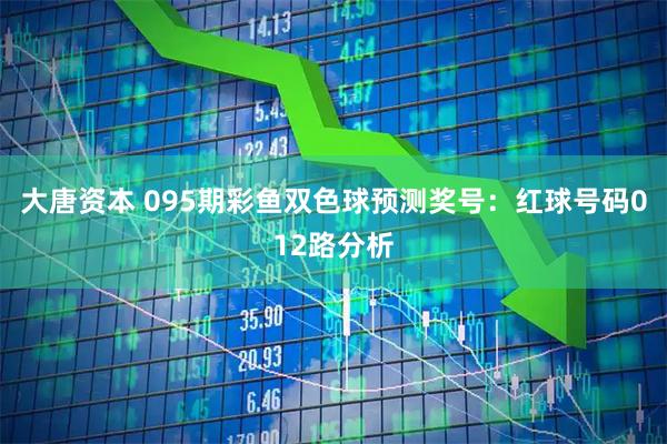 大唐资本 095期彩鱼双色球预测奖号：红球号码012路分析